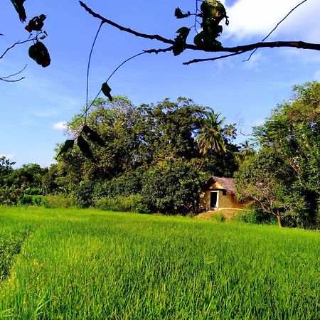 Raintree Villa Dambulla Exterior foto