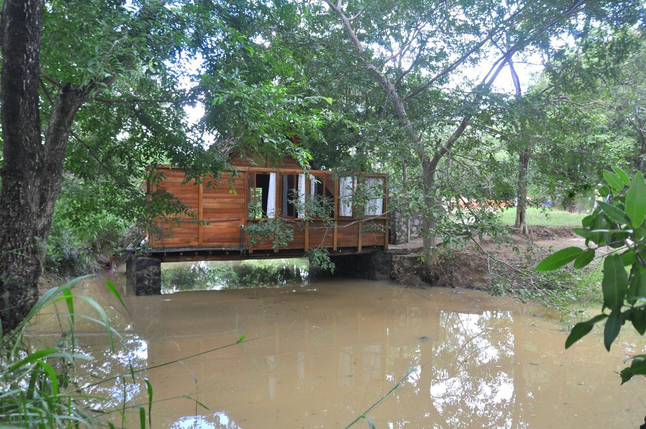 Raintree Villa Dambulla Exterior foto