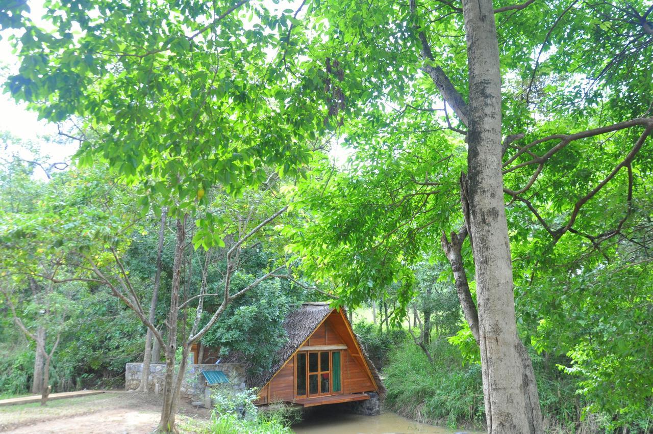 Raintree Villa Dambulla Exterior foto