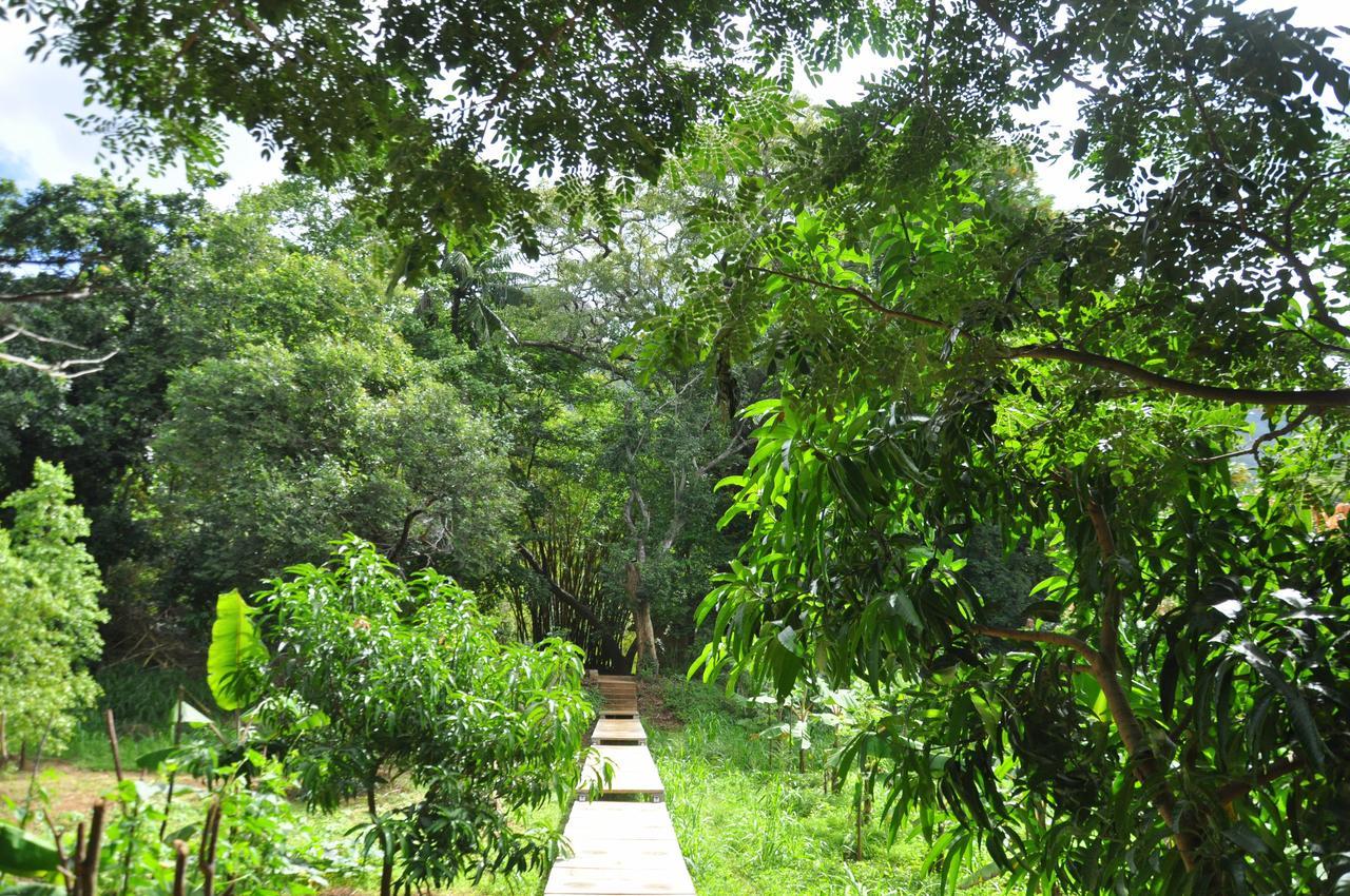 Raintree Villa Dambulla Exterior foto