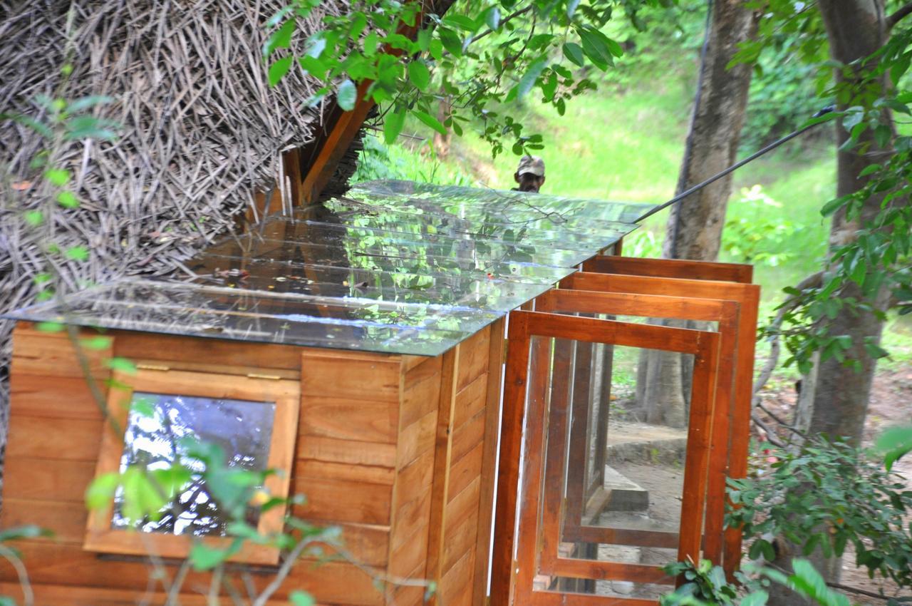 Raintree Villa Dambulla Exterior foto