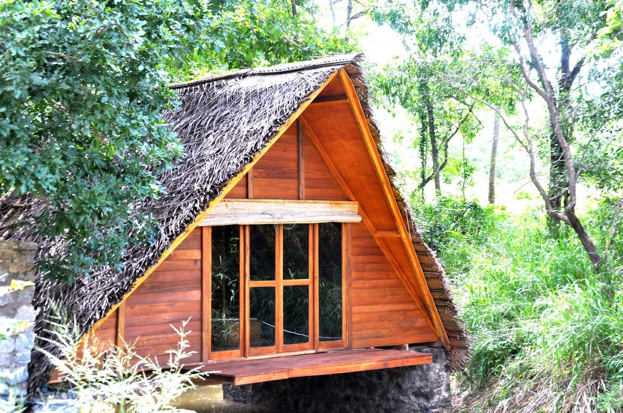 Raintree Villa Dambulla Exterior foto