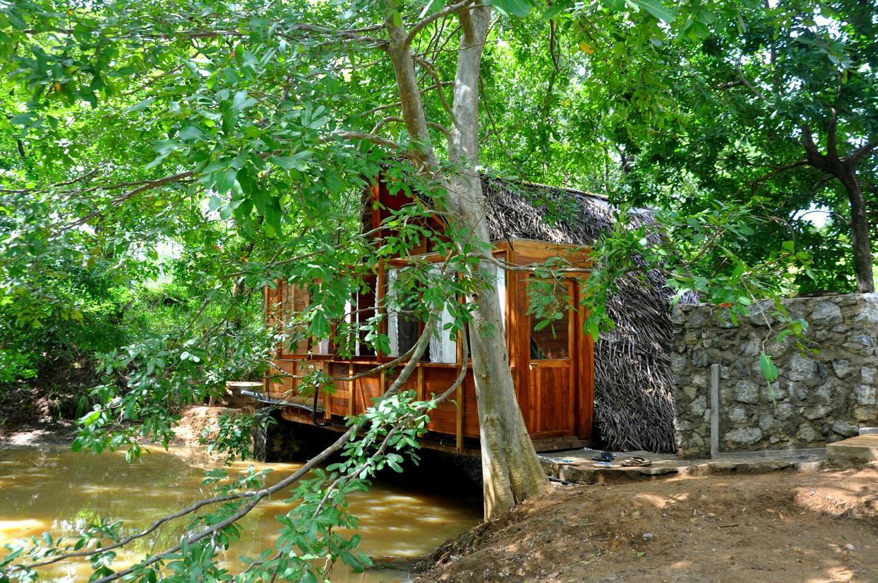 Raintree Villa Dambulla Exterior foto