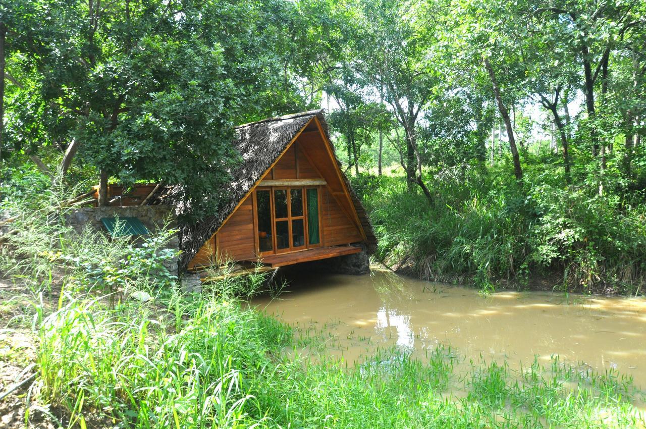 Raintree Villa Dambulla Exterior foto