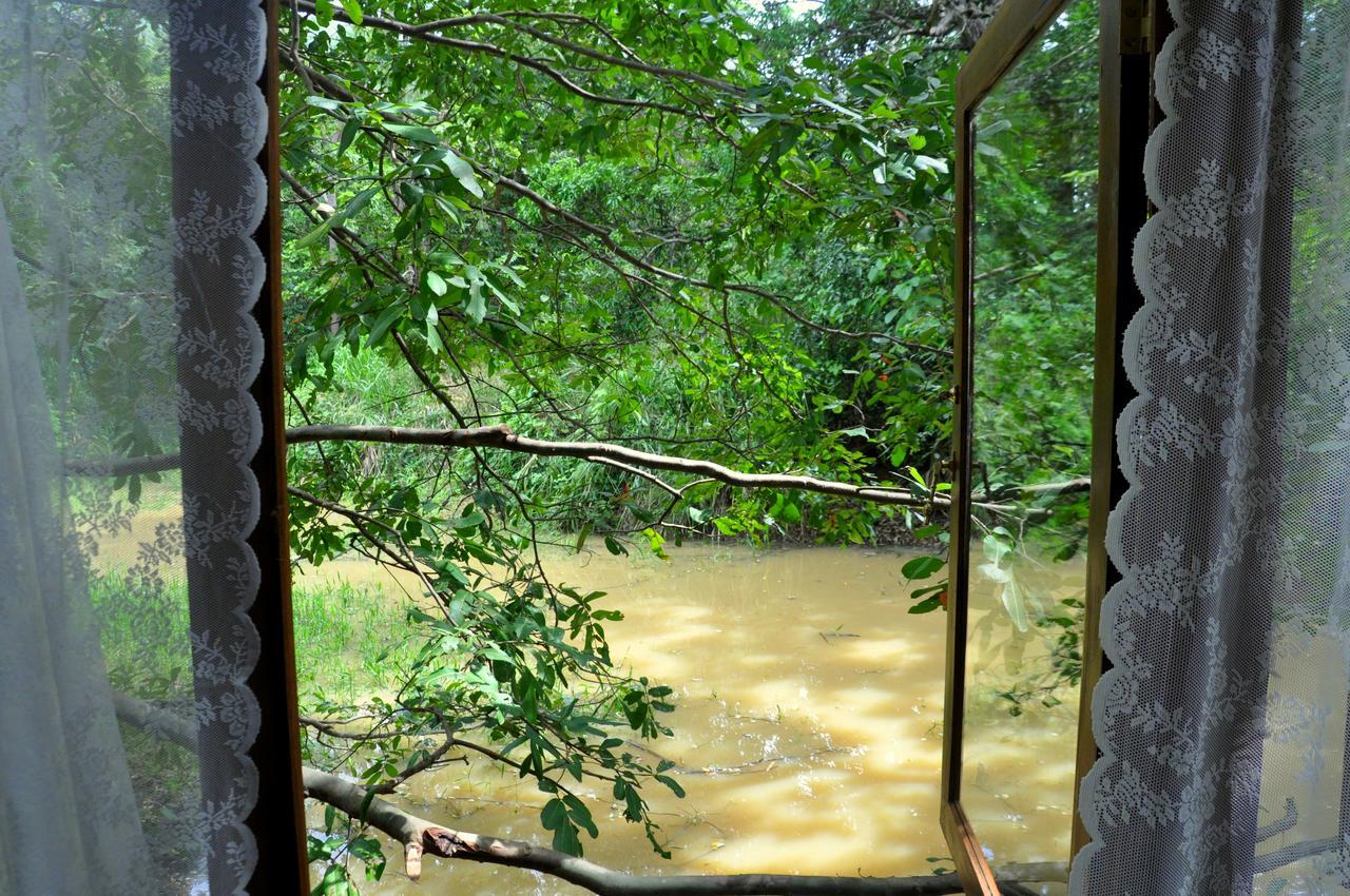 Raintree Villa Dambulla Exterior foto