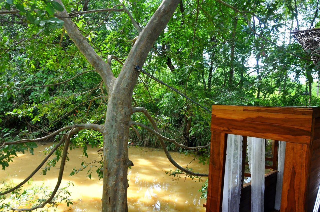 Raintree Villa Dambulla Exterior foto