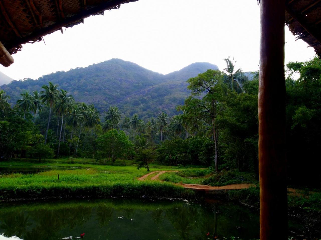 Raintree Villa Dambulla Exterior foto