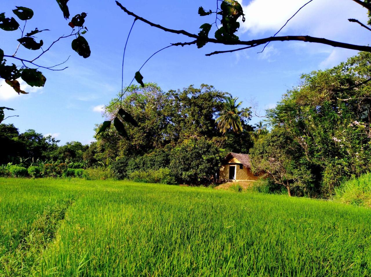 Raintree Villa Dambulla Exterior foto