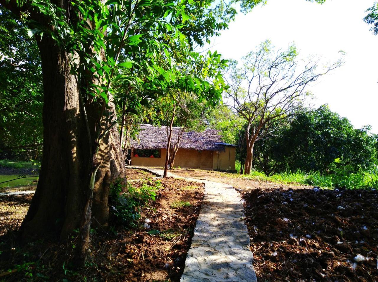 Raintree Villa Dambulla Exterior foto