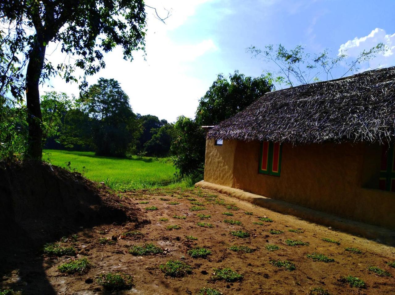 Raintree Villa Dambulla Exterior foto