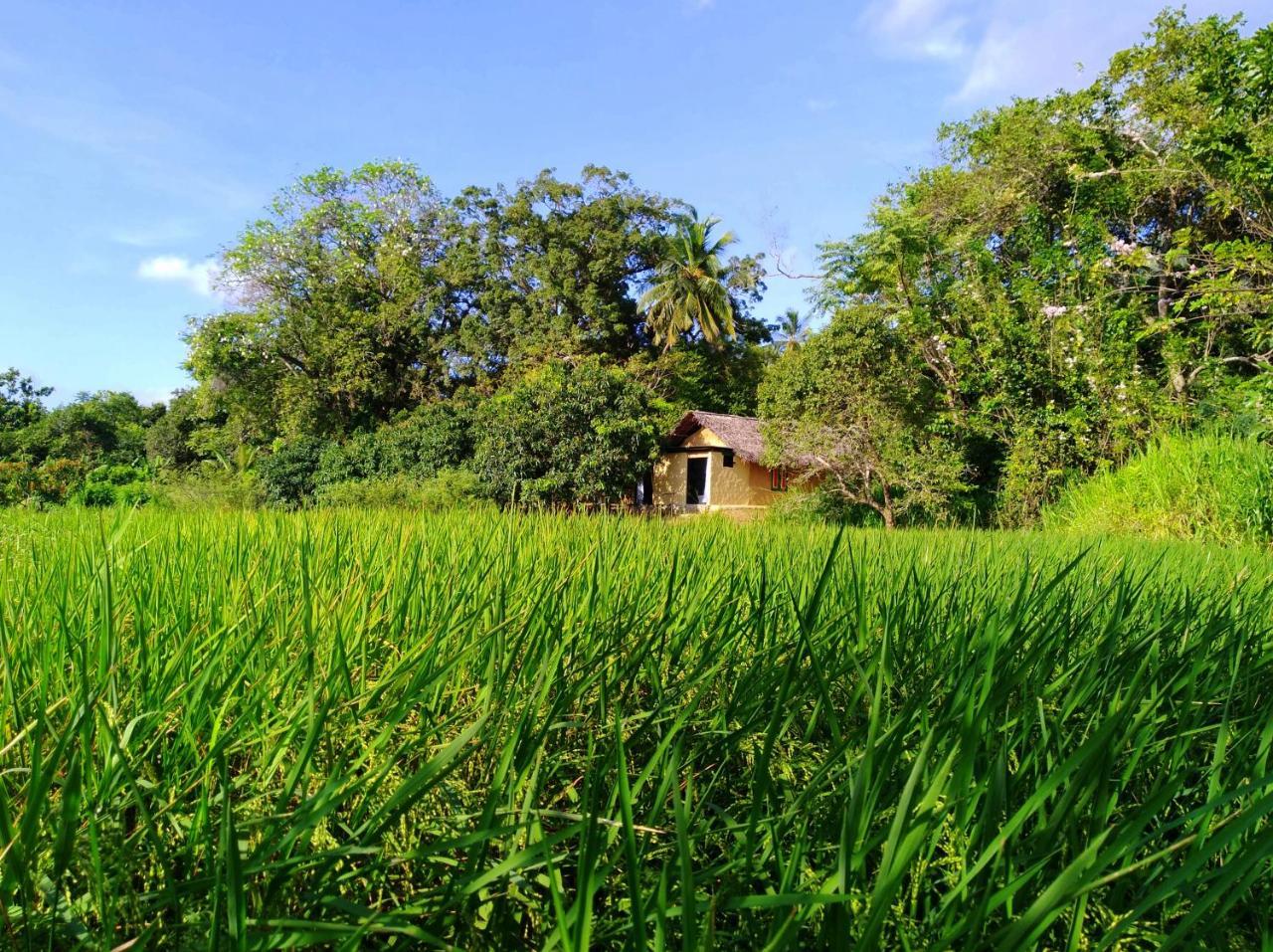Raintree Villa Dambulla Exterior foto