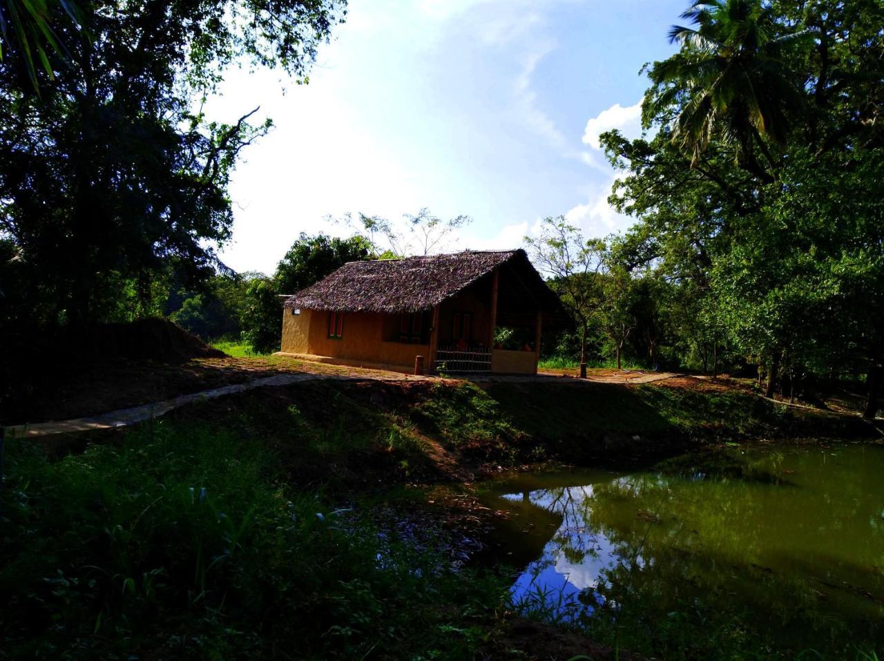 Raintree Villa Dambulla Exterior foto