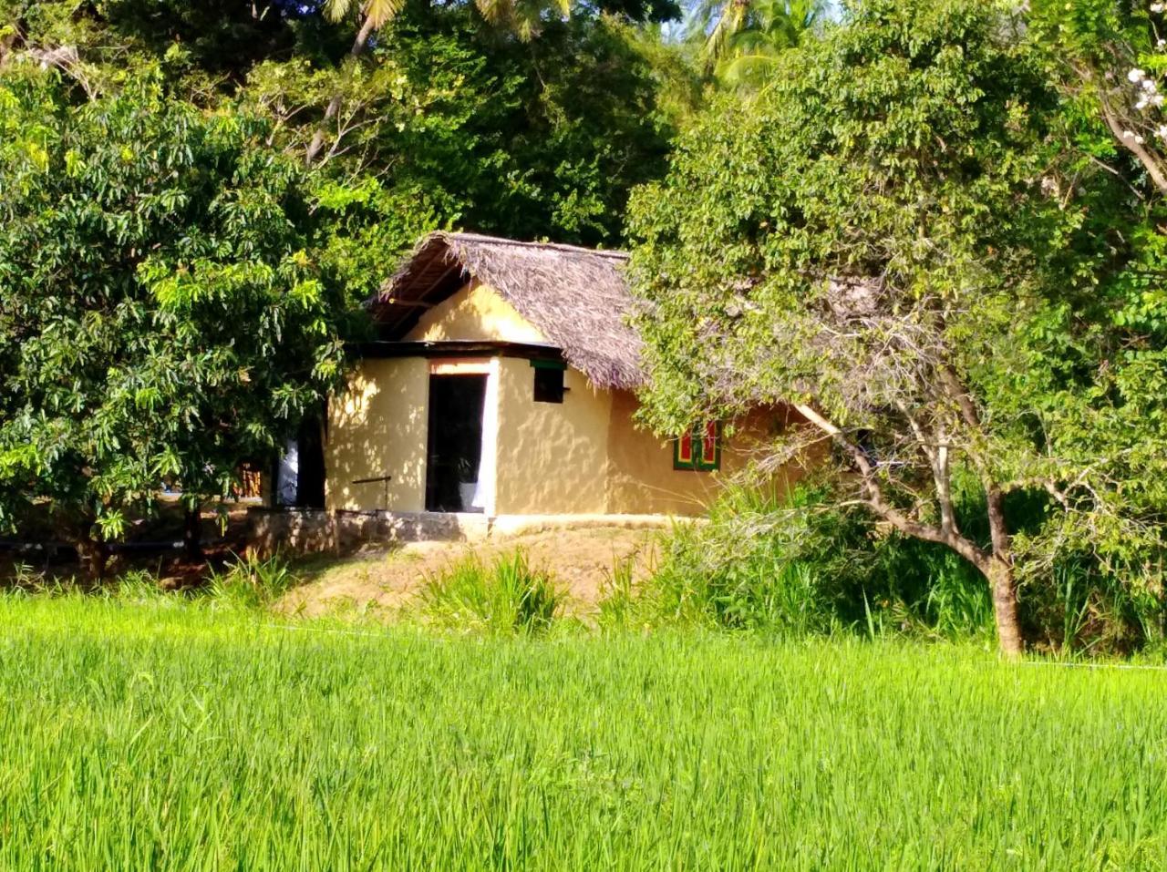Raintree Villa Dambulla Exterior foto