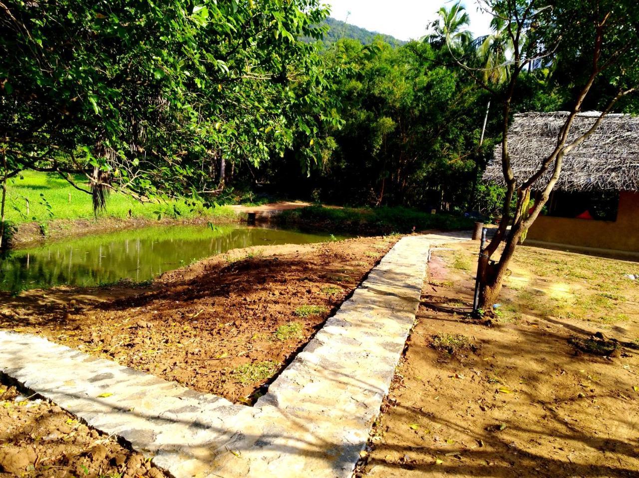 Raintree Villa Dambulla Exterior foto